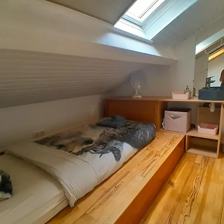 Duplex De Charme Avec Bureau - Face Gare Rer A *